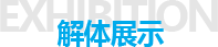 解体展示